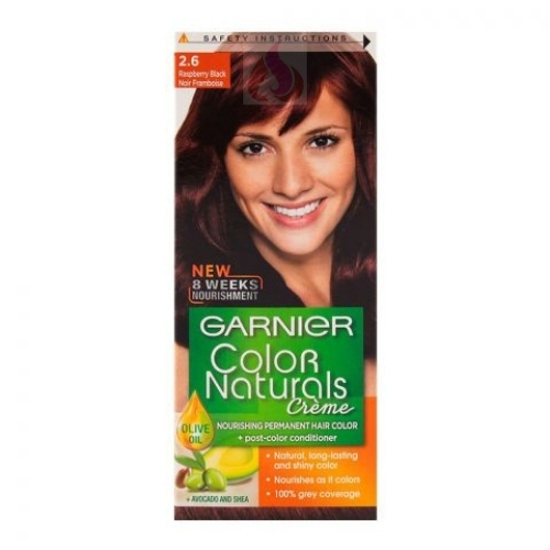 Buy Garnier Natural Hair Color Cream-2.6 in Pakistan |HGS